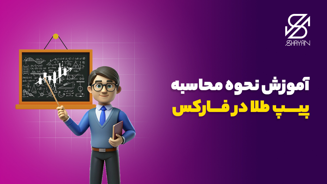 آدمکی که جلوی تخته تدریس ایستاده و رابطه بین نمودارهای تریدینگ و فاراکس و هر پیپ طلا آموزش می‌دهد 