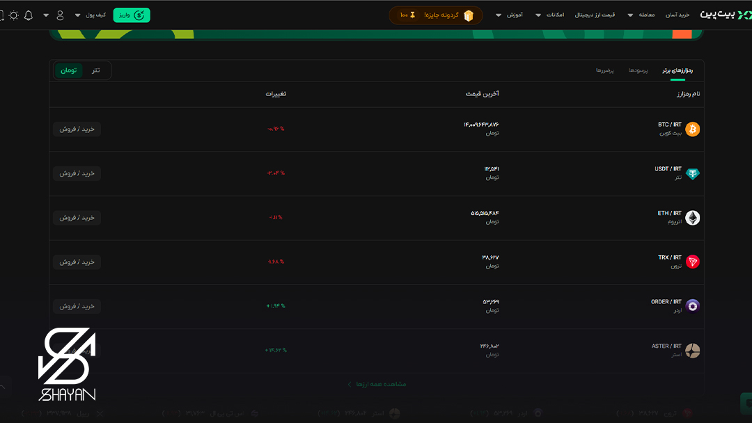 تصویری از صفحه کاربری صرافی بیت پین 