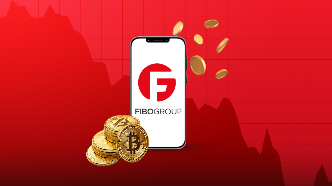 بروکر فیبوگروپ